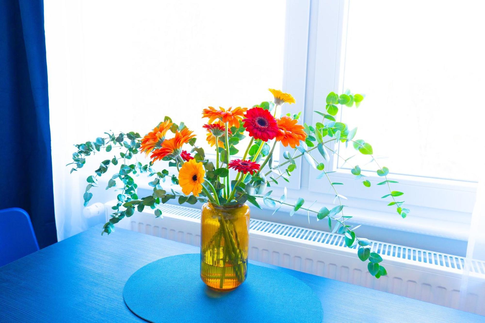 Betterbeds Gelsenkirchen Apartment ภายนอก รูปภาพ